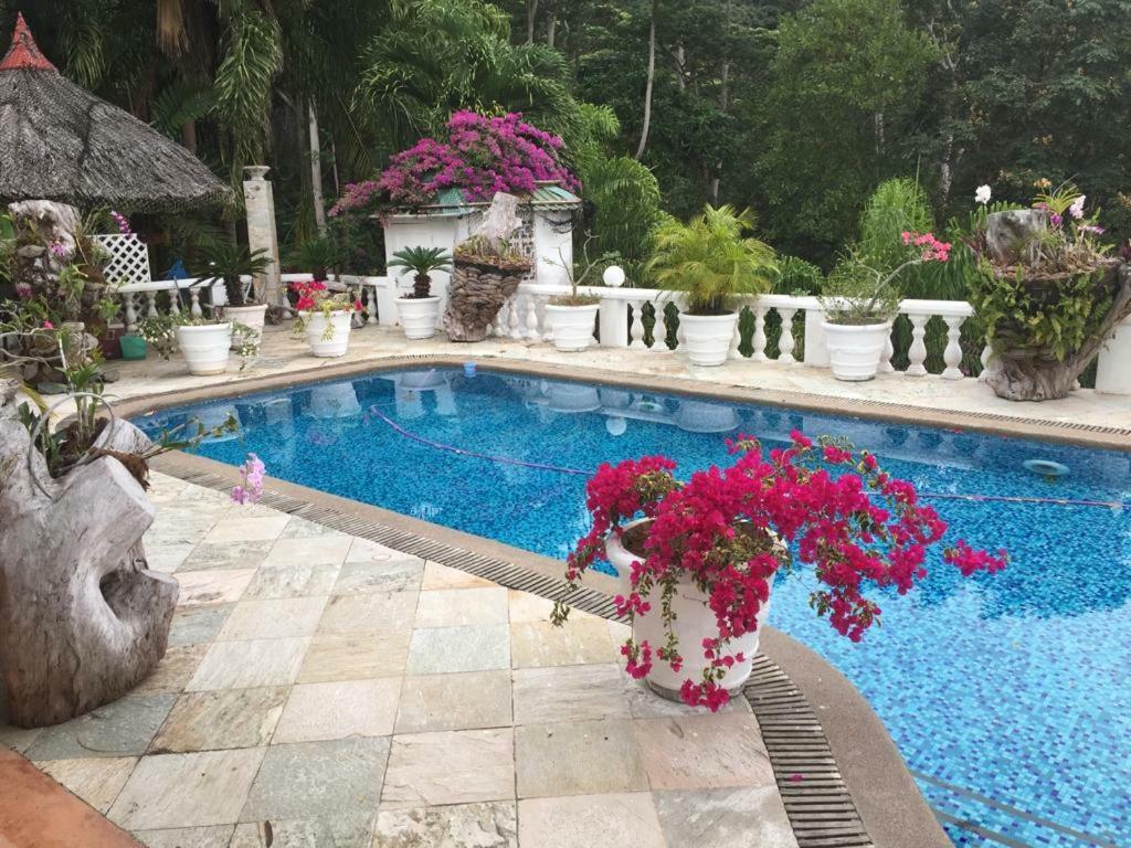 Casa Doro Villa Glacis  Екстериор снимка